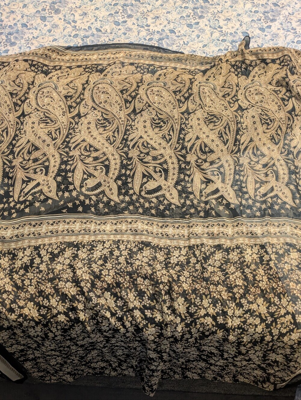 Elegant Black & Cream Paisley Printed Women’s Saree